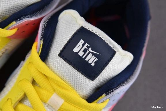 SB Schipani Xavier Be Pro Dunk Nike True DX5933-900 Low 1221